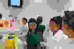 91e8ce77-7a95-4069-baa8-73a5fb254525