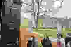 671390194_2072011536679538_5586489876483097350_n