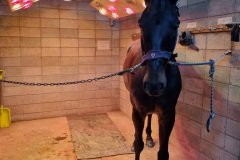 A8E4887F-AE3C-4500-B894-DEE7600B895C_1_105_c