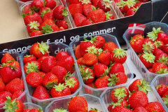 B585ACC5-A60E-4218-B3F5-C2378B2E09F1_1_105_c