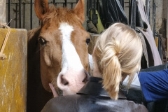 F51CA059-A416-439E-B133-96C822F89FE6_1_105_c